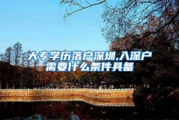 大专学历落户深圳,入深户需要什么条件具备