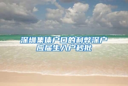 深圳集体户口的利弊深户应届生入户秒批