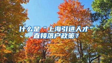 什么是“上海引进人才”直接落户政策？