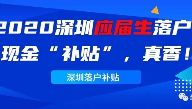 2020深圳应届生落户的现金“补贴”，真香！#204