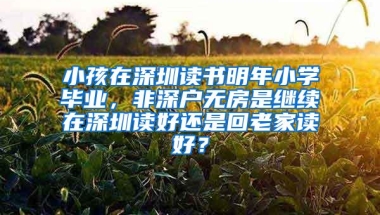 小孩在深圳读书明年小学毕业，非深户无房是继续在深圳读好还是回老家读好？