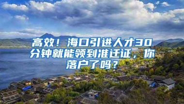 高效！海口引进人才30分钟就能领到准迁证，你落户了吗？