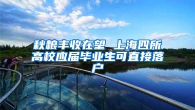 秋粮丰收在望 上海四所高校应届毕业生可直接落户