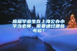 应届毕业生在上海公办小学当老师，需要通过哪些考验？