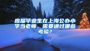 应届毕业生在上海公办小学当老师，需要通过哪些考验？