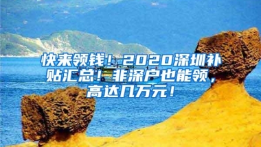 快来领钱！2020深圳补贴汇总！非深户也能领，高达几万元！