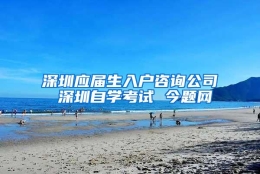 深圳应届生入户咨询公司 深圳自学考试 今题网