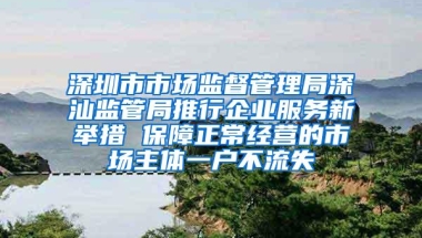 深圳市市场监督管理局深汕监管局推行企业服务新举措 保障正常经营的市场主体一户不流失