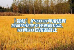 【最新】沪2021年度优秀应届毕业生专项选调启动,10月30日报名截止