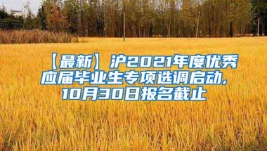 【最新】沪2021年度优秀应届毕业生专项选调启动,10月30日报名截止