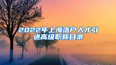 2022年上海落户人才引进高级职称目录