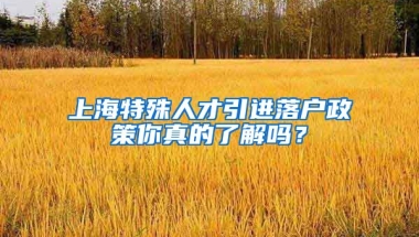 上海特殊人才引进落户政策你真的了解吗？