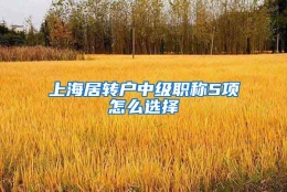 上海居转户中级职称5项怎么选择