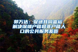 郭万达：促进共同富裕，解决深圳户籍和非户籍人口的公共服务差距