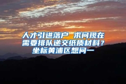 人才引进落户 求问现在需要排队递交纸质材料？坐标黄浦区想问一