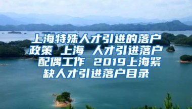 上海特殊人才引进的落户政策 上海 人才引进落户 配偶工作 2019上海紧缺人才引进落户目录