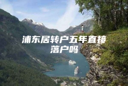 浦东居转户五年直接落户吗