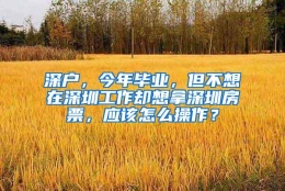 深户，今年毕业，但不想在深圳工作却想拿深圳房票，应该怎么操作？