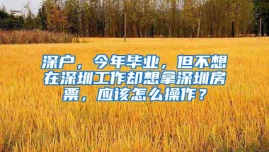 深户，今年毕业，但不想在深圳工作却想拿深圳房票，应该怎么操作？