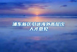 浦东新区引进海外高层次人才意见