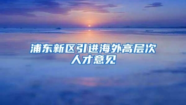 浦东新区引进海外高层次人才意见