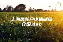 上海居转户申请明细介绍.doc