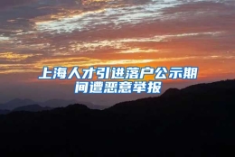 上海人才引进落户公示期间遭恶意举报