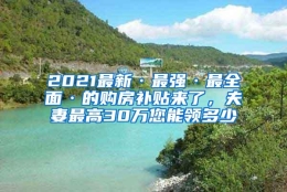 2021最新·最强·最全面·的购房补贴来了，夫妻最高30万您能领多少