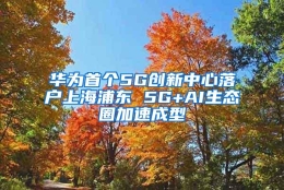 华为首个5G创新中心落户上海浦东 5G+AI生态圈加速成型