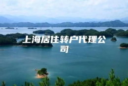 上海居住转户代理公司