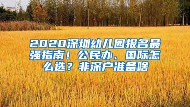 2020深圳幼儿园报名最强指南！公民办、国际怎么选？非深户准备啥