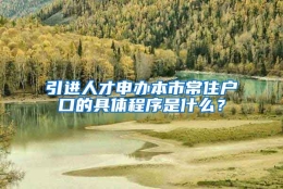 引进人才申办本市常住户口的具体程序是什么？