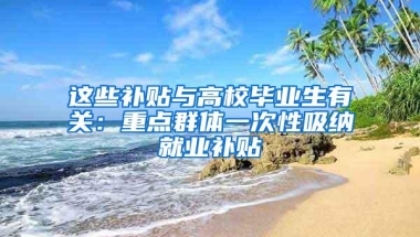 这些补贴与高校毕业生有关：重点群体一次性吸纳就业补贴