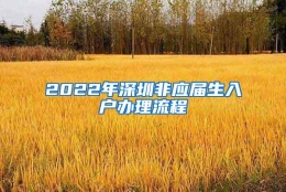 2022年深圳非应届生入户办理流程