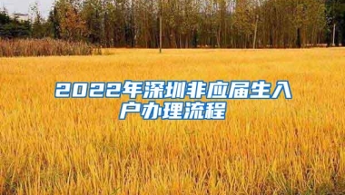 2022年深圳非应届生入户办理流程