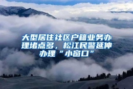 大型居住社区户籍业务办理堵点多，松江民警延伸办理“小窗口”