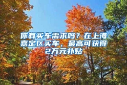 你有买车需求吗？在上海嘉定区买车，最高可获得2万元补贴