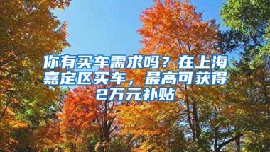 你有买车需求吗？在上海嘉定区买车，最高可获得2万元补贴