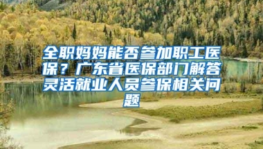 全职妈妈能否参加职工医保？广东省医保部门解答灵活就业人员参保相关问题