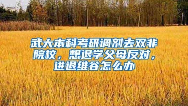 武大本科考研调剂去双非院校，想退学父母反对，进退维谷怎么办