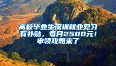 高校毕业生深圳就业见习有补贴，每月2500元！申领攻略来了