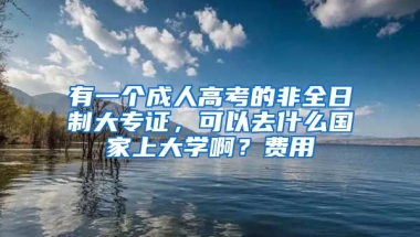 有一个成人高考的非全日制大专证，可以去什么国家上大学啊？费用