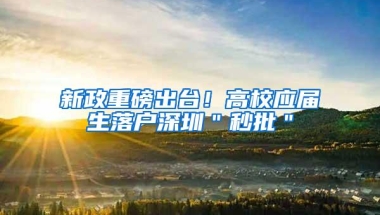 新政重磅出台！高校应届生落户深圳＂秒批＂