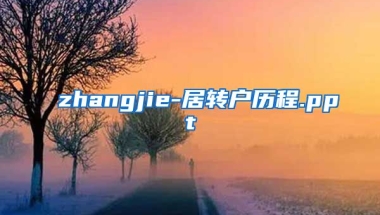 zhangjie-居转户历程.ppt