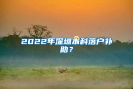 2022年深圳本科落户补助？