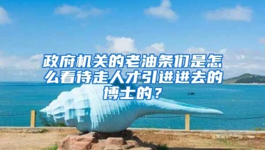 政府机关的老油条们是怎么看待走人才引进进去的博士的？