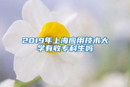 2019年上海应用技术大学有收专科生吗