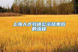 上海人才引进公示结束后的流程