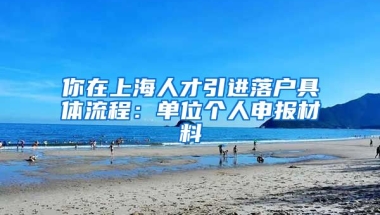 你在上海人才引进落户具体流程：单位个人申报材料