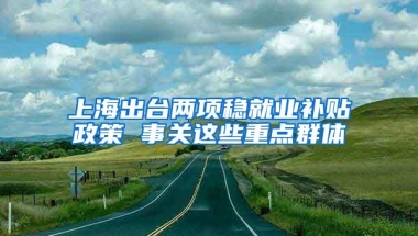 上海出台两项稳就业补贴政策 事关这些重点群体